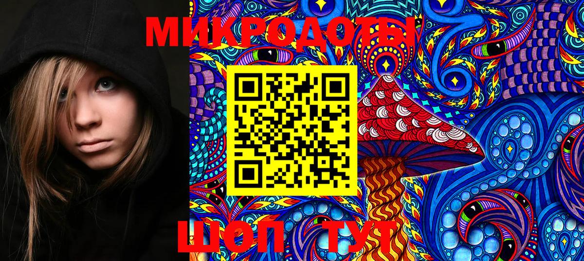 Псилоцибиновые грибы GOLDEN TEACHER Бутурлиновка