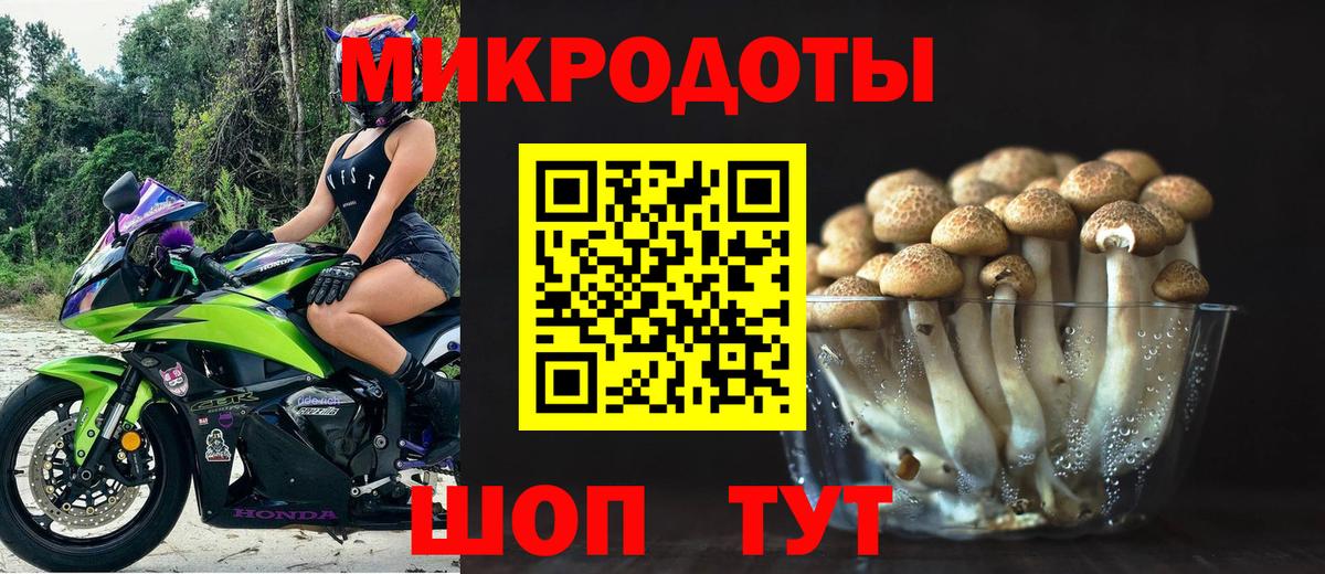 Псилоцибиновые грибы GOLDEN TEACHER  Псилоцибиновые грибы Magic Shrooms  Вход с VPN  сколько стоит  Бутурлиновка 